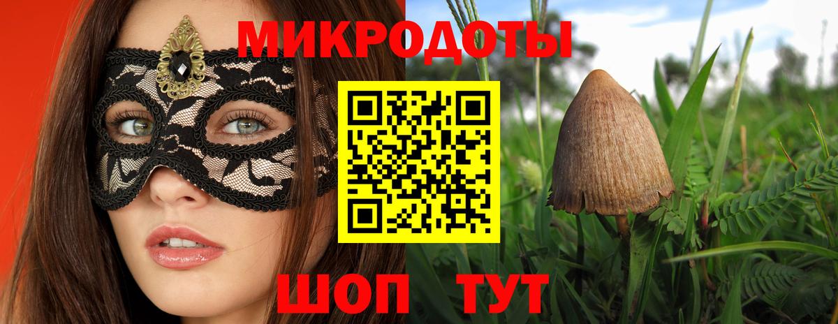 Чита  Псилоцибиновые грибы Magic Shrooms  что такое наркотик  Вход с VPN 