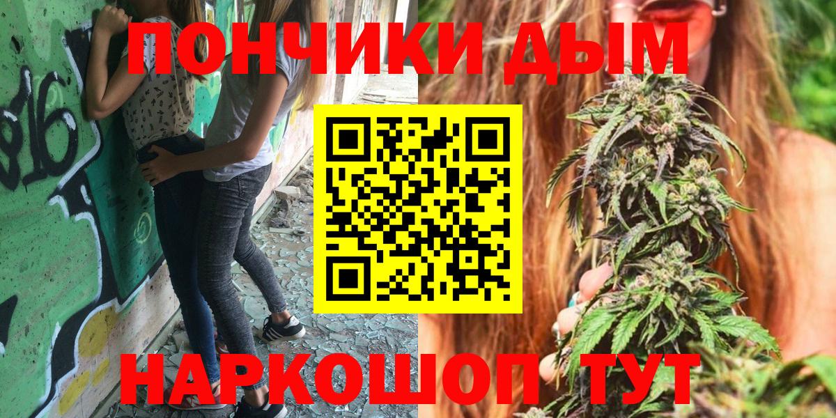Бошки марихуана сатива  Бошки марихуана конопля  Вход с VPN  Бошки марихуана марихуана  МАРИХУАНА планчик  Чита 
